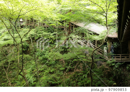 永観堂の伽藍をつなぐ回廊 97909853