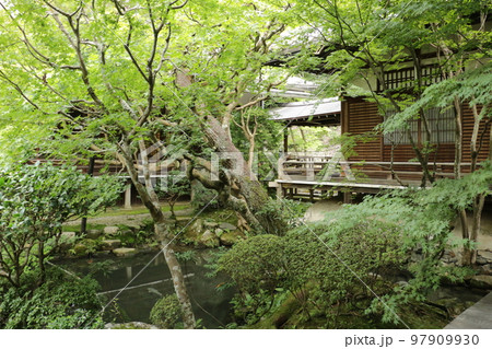 永観堂の伽藍をつなぐ回廊 97909930