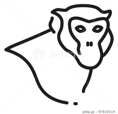 Monkey head linear portrait. Jungle animal icon Monkey head linear portrait. Jungle animal icon 97910314