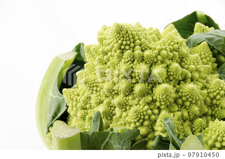 ロマネスコ 97910450