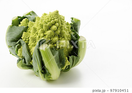 ロマネスコ 97910451