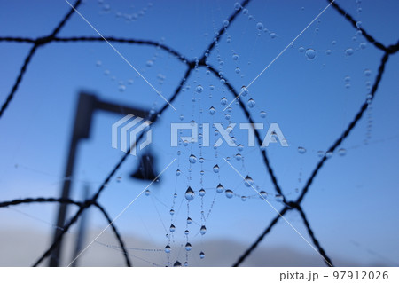 雫に浮かぶ熊よけの鈴 97912026