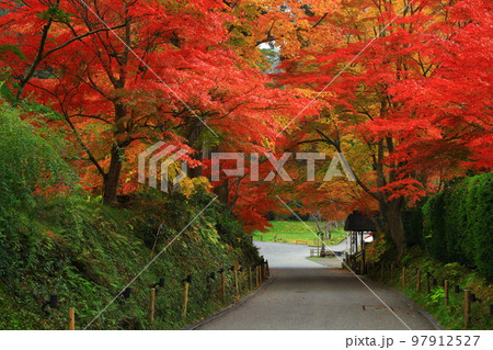 世界遺産 岩手県平泉町 平泉中尊寺の紅葉 世界遺産 岩手県平泉町 平泉中尊寺の紅葉 97912527