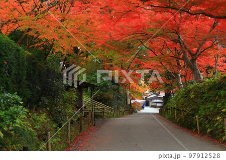 世界遺産　岩手県平泉町　平泉中尊寺の紅葉 97912528