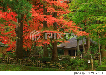 世界遺産　岩手県平泉町　平泉中尊寺の紅葉 97912561