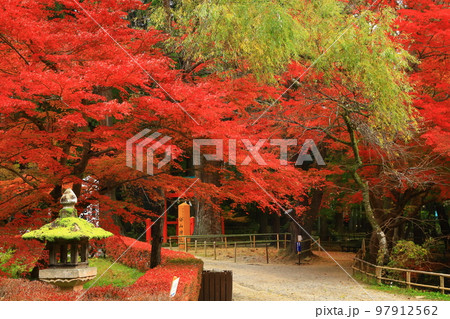 世界遺産 岩手県平泉町 平泉中尊寺の紅葉 世界遺産 岩手県平泉町 平泉中尊寺の紅葉 97912562