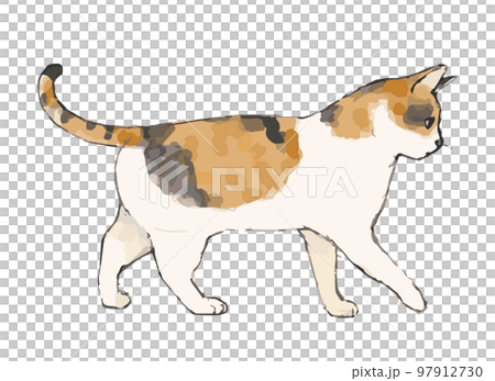 watercolor style hand drawn illustration of a cat 97912730