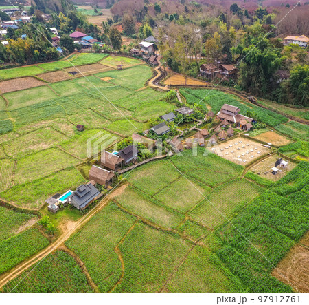 Aerial view of Houses in the middle of rice fields in Nan province, Thailand Aerial view of Houses in the middle of rice fields in Nan province, Thailand 97912761