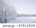 Frosty trees along a meadow 97912929