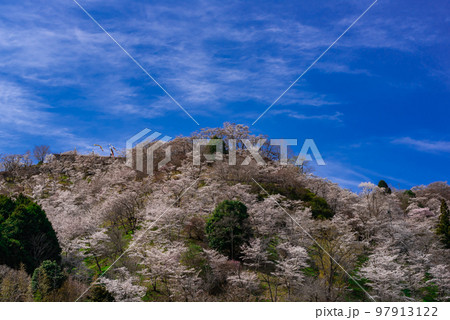 #三休公園 #みやすみ公園 #みやすみこうえん #春 #桜 #岡山県 #美咲町 #三休公園 #みやすみ公園 #みやすみこうえん #春 #桜 #岡山県 #美咲町 97913122