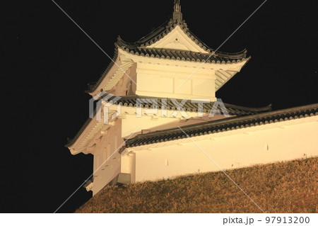 宇都宮城址公園・清明台のライトアップ 宇都宮城址公園・清明台のライトアップ 97913200