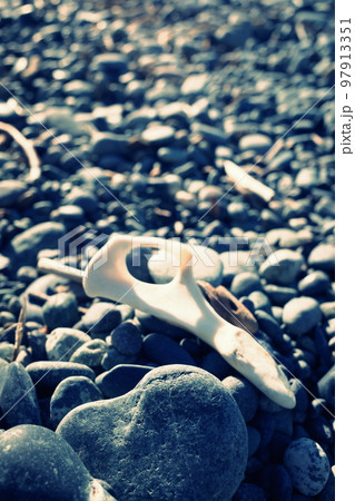 大磯の海岸 大磯の海岸 97913351
