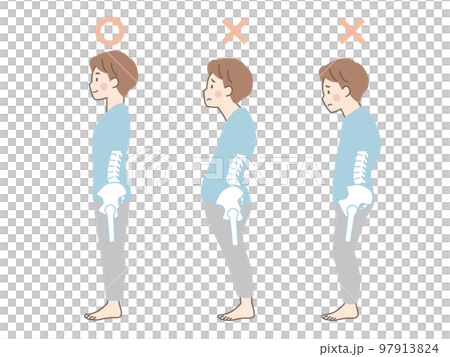 男性の良い姿勢と悪い姿勢の見本_骨盤 97913824