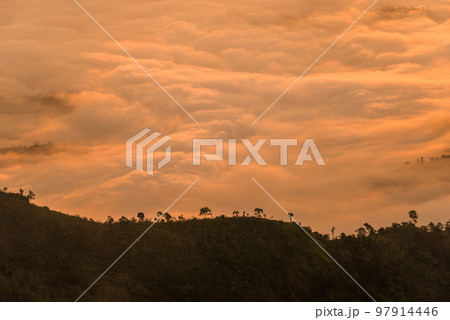 The beautiful sea mist cover the highland mountains named Phu Chi Dao located in Chiang Rai province in the northern region of Thailand. 97914446