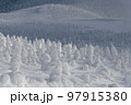 蔵王の樹氷原 97915380