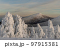 夕暮れ時の冬の蔵王 97915381