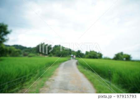 大阪府千早赤阪村、田んぼの風景、下赤坂の棚田の写真素材 [97915793