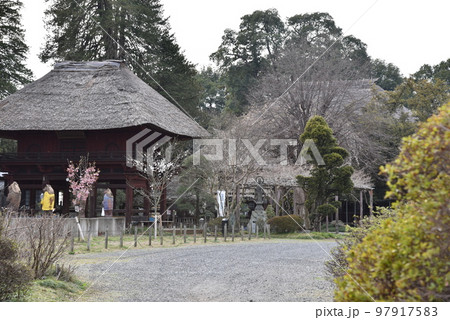 分福茶釜の寺 茂林寺 分福茶釜の寺 茂林寺 97917583