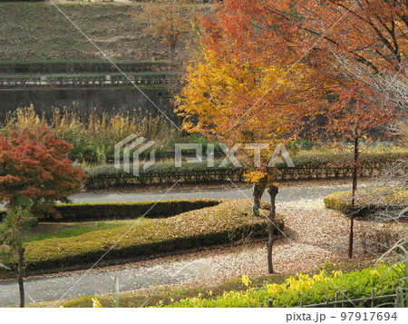 楽山園の茶屋から雄川の秋の景色 97917694