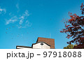 紅葉と羽ばたく鳥 97918088
