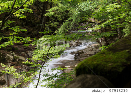 スッカン沢 スローシャッター 那須塩原市 スッカン沢 スローシャッター 那須塩原市 97918256