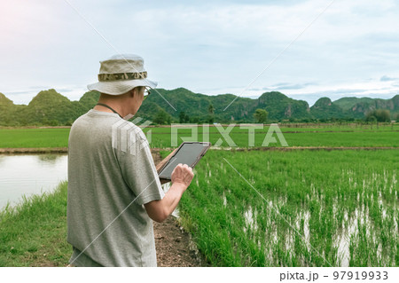Asian male farmer using tablet for research leaves of rice in organic farm field. Agriculturist check the growing rice production in rice paddy field by using tablet. Agricultural technology Concept. Asian male farmer using tablet for research leaves of rice in organic farm field. Agriculturist check the growing rice production in rice paddy field by using tablet. Agricultural technology Concept. 97919933