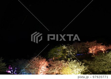 中津市 八面山 夜桜お八 中津市 八面山 夜桜お八 97920771