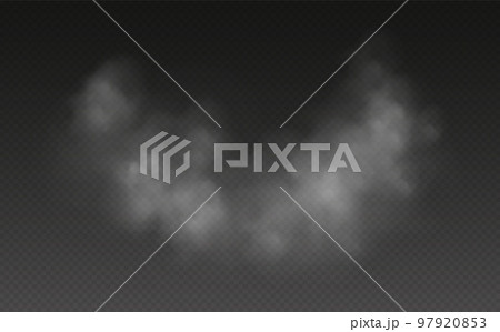 Fog or smoke isolated on transparent background. Realistic smog, haze, mist or cloudiness effect. 97920853