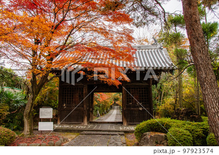 仙台 北山 晩秋の輪王寺 紅葉に包まれる仁王門 仙台 北山 晩秋の輪王寺 紅葉に包まれる仁王門 97923574