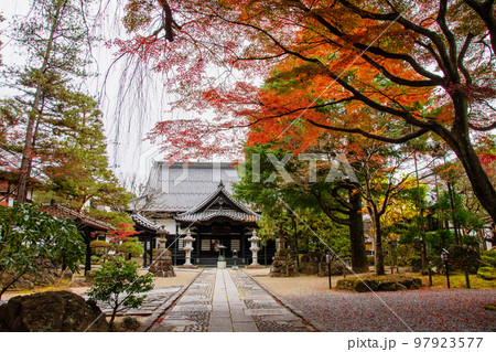 仙台 北山 晩秋の輪王寺 紅葉に包まれる本堂 仙台 北山 晩秋の輪王寺 紅葉に包まれる本堂 97923577