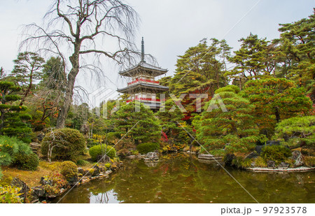 仙台　北山　晩秋の輪王寺　日本庭園　三重塔　落葉した枝垂れ桜　 97923578