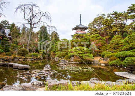 仙台北山 晩秋の輪王寺　紅葉の日本庭園　三重塔　睡蓮池 97923621