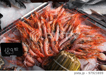 Fresh shrimps and other seafood on ice. Wholesale market 97923899