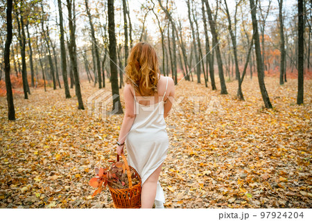 portrait of young red-haired woman in autumn forest. portrait of young red-haired woman in autumn forest. 97924204