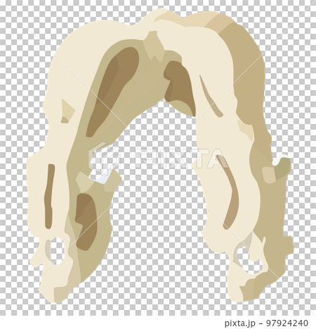 神秘的骨頭化石 神秘的骨頭化石 97924240