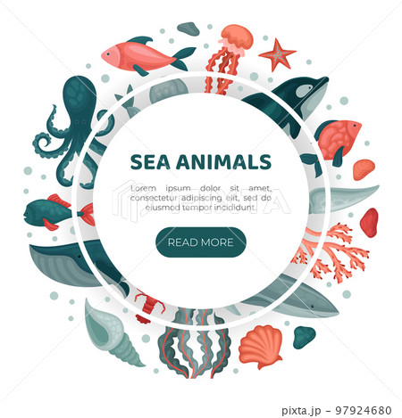 Sea animals web banner template. Underwater wild life, marine world landing page, website cartoon vector Sea animals web banner template. Underwater wild life, marine world landing page, website cartoon vector 97924680