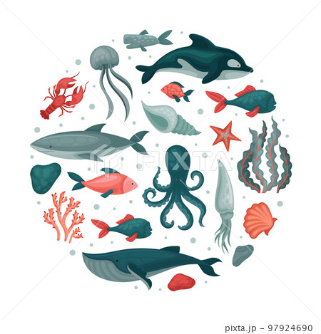 Marine animals in round shape. Underwater world, sea creatures banner, poster, card design template cartoon vector Marine animals in round shape. Underwater world, sea creatures banner, poster, card design template cartoon vector 97924690