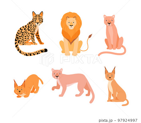 Set of different wild cats. Caracal, lion, cougar, puma, ocelot cartoon vector illustration Set of different wild cats. Caracal, lion, cougar, puma, ocelot cartoon vector illustration 97924997