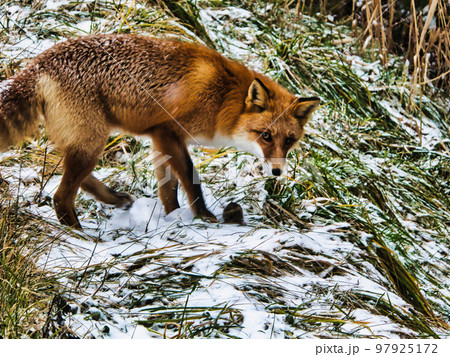 冬の風景 97925172