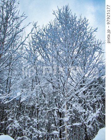 冬の風景 97925177