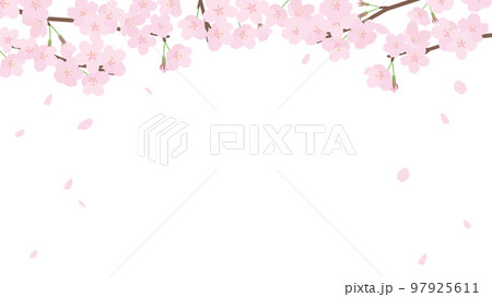 桜と花吹雪のフレームイラスト 97925611