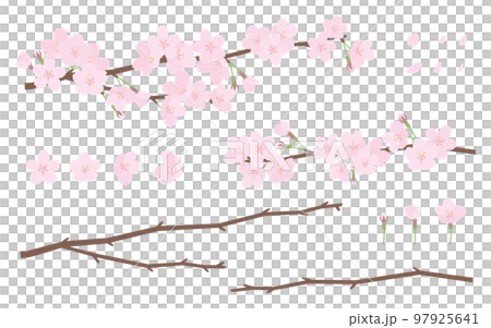 Illustration material set of cherry blossoms and branches Illustration material set of cherry blossoms and branches 97925641