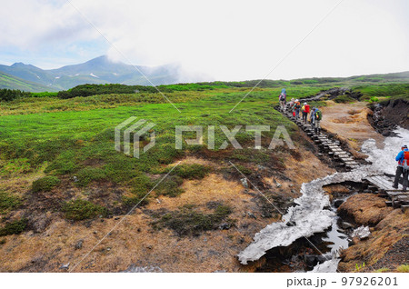 北海道　大雪山　裾合平　トレッキング　木道　 97926201