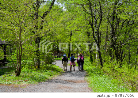 新緑の上高地【ウォーキングコース】 97927056