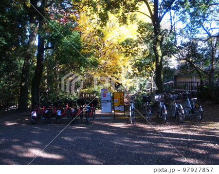 シェアサイクル 97927857