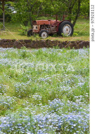 ネモフィラの咲く野原と壊れたトラクター 97928112