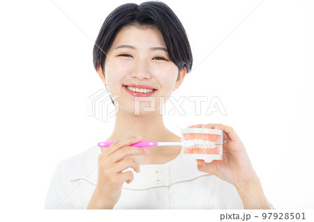 歯の模型を持つ歯科衛生士 97928501
