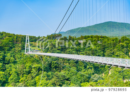 大分県　九重“夢”大吊橋 97928693
