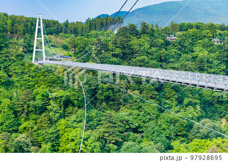 大分県　九重“夢”大吊橋 97928695