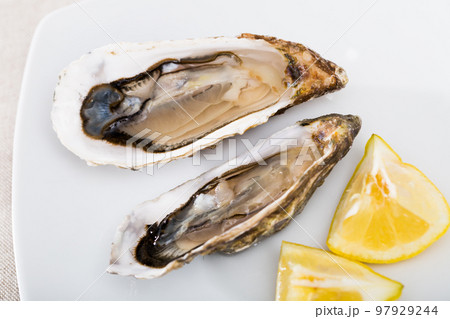 Opened raw oysters with lemon 97929244